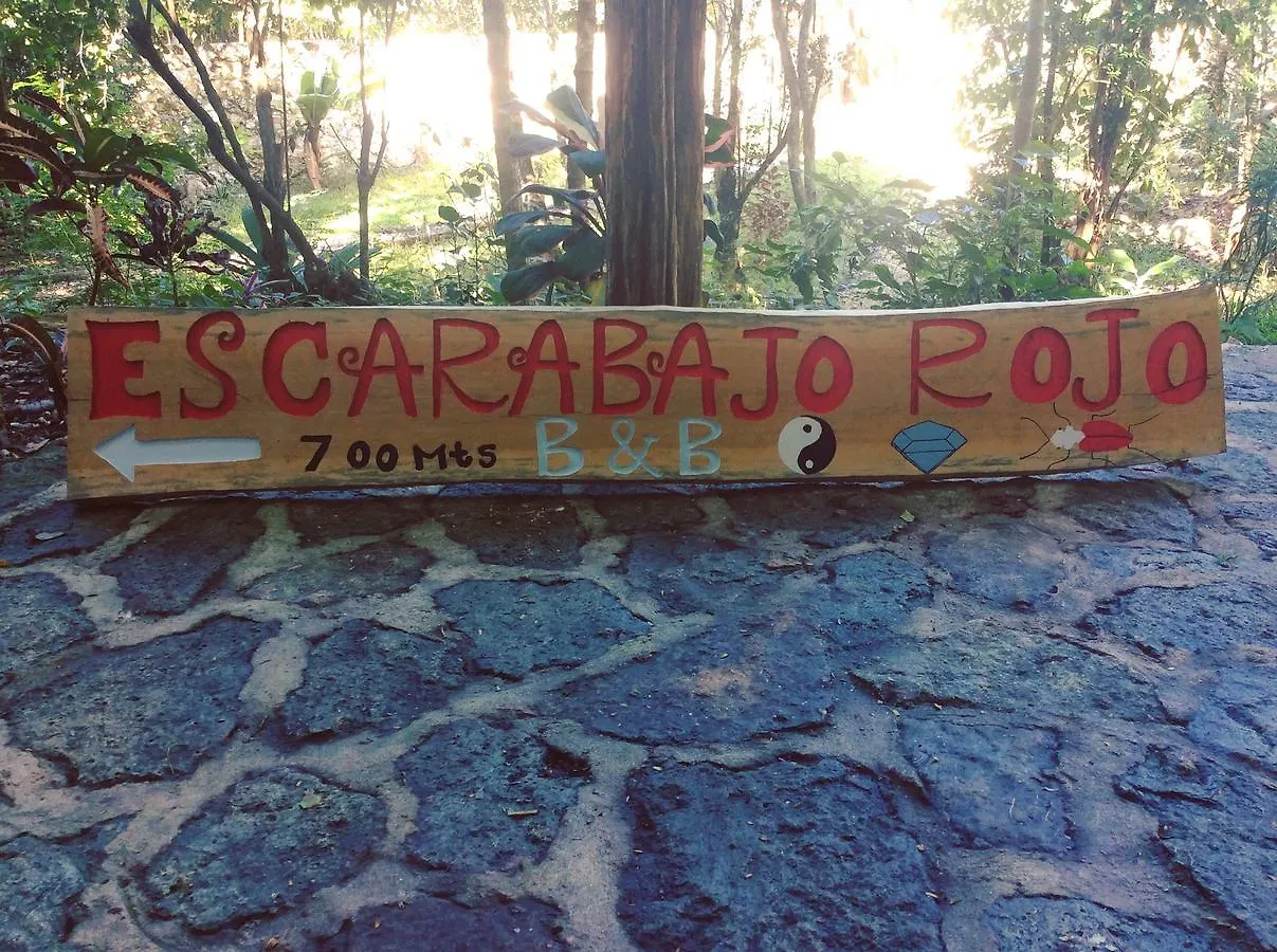 לינה וארוחת בוקר טולום Escarabajo Rojo